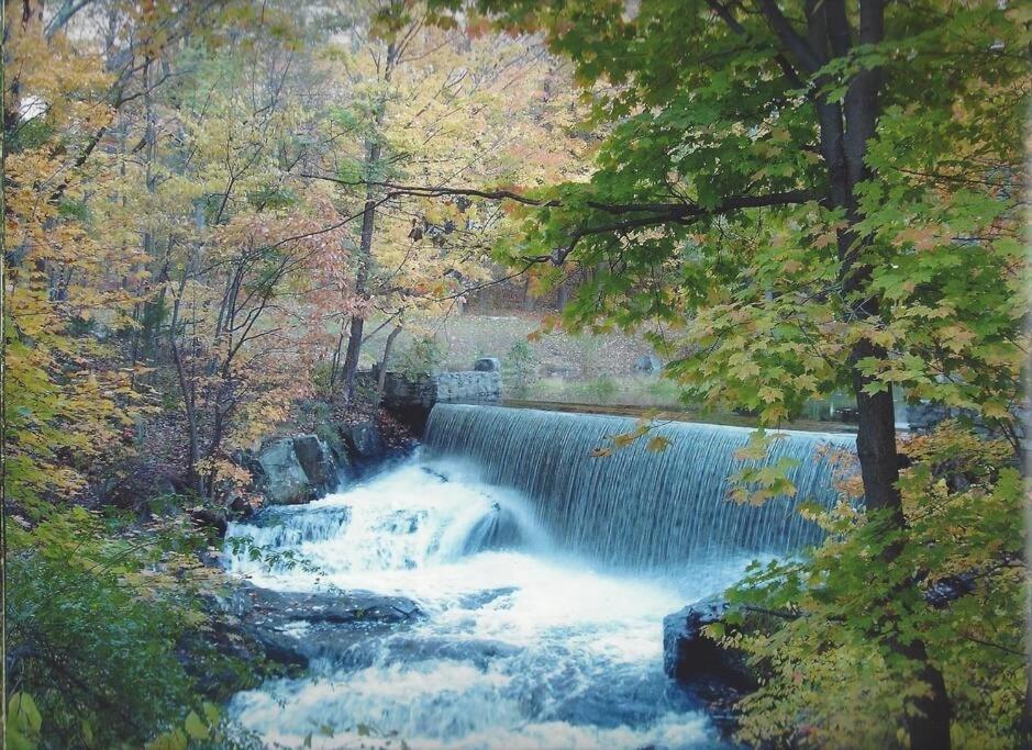 At Millpond Falls - A Romantic Escape *