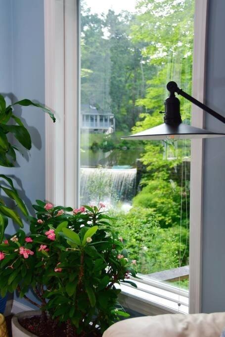 At Millpond Falls - A Romantic Escape Warwick