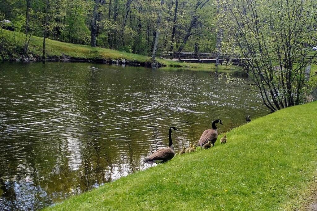 At Millpond Falls - A Romantic Escape Warwick